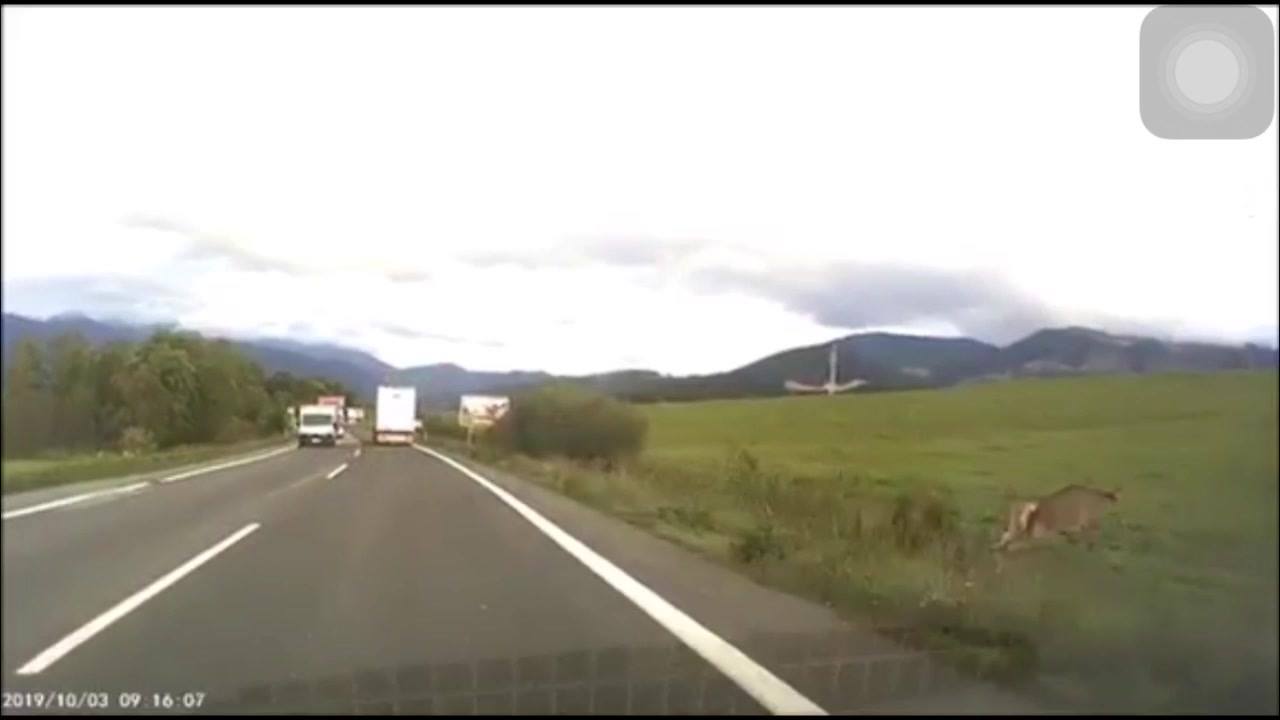 Obrázok k článku "Pripomíname si spomienku zverejnenú 23. septembra 2019 pri príležitosti príchodu jesene"